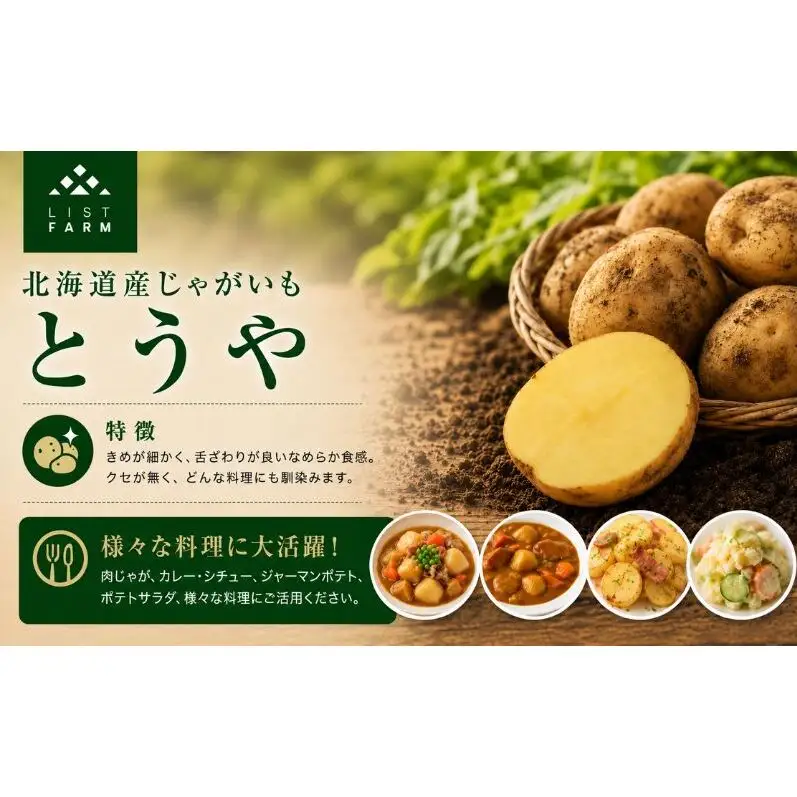 北海道 倶知安 じゃがいも とうや 5kg リストファーム サイズ 混合 馬鈴薯 芋 ポテト イモ 産地直送 野菜
