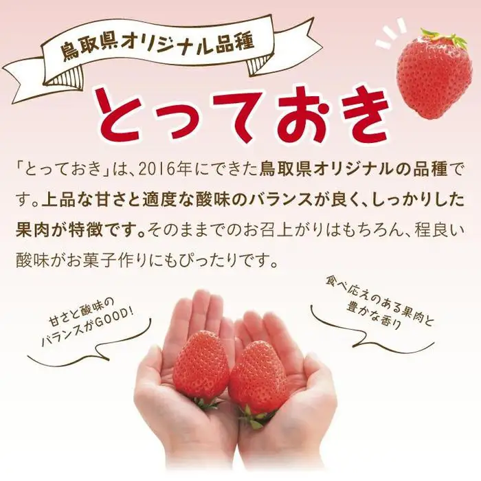 とっておきDX 500g 鳥取いちご【とみハウス】