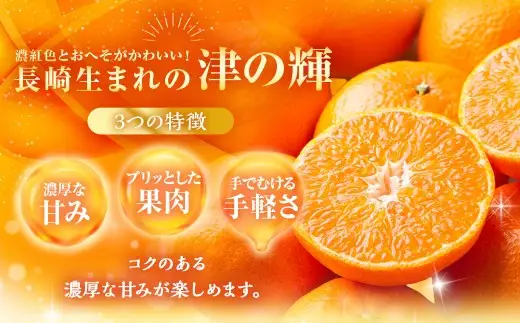 ハウス 「 津の輝 」 約5kg 果物 くだもの フルーツ 柑橘 柑橘類 柑橘系 旬 果実 果汁 果肉 国産 長崎県産 【 2027年1月下旬～2月上旬まで順次発送予定 】