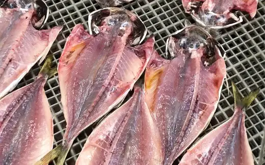 長崎干物あじ開き 約1.5kg （ 約20枚前後 ） 干物 あじ アジ 鯵 魚 魚介 魚介類 魚類 海鮮 おかず 晩酌 おつまみ 国産 長崎県産 冷凍
