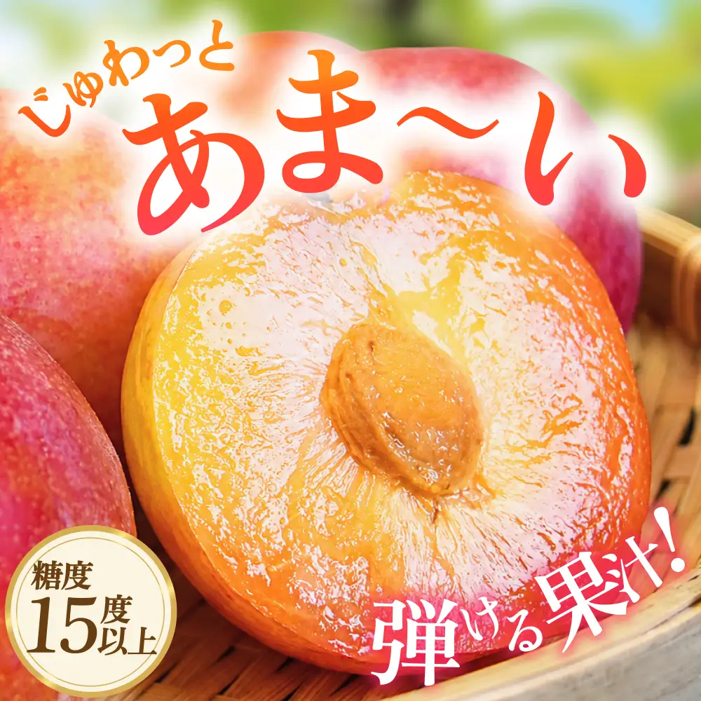 サマーエンジェル (スモモ)  約1.7kg 秀品11～12玉 こだわり農家厳選！【2027年7月上旬～7月中旬順次発送予定】【BK-kgr048】