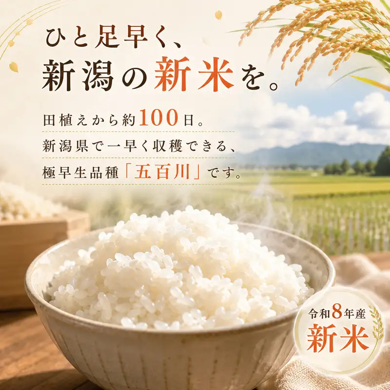 令和8年産新米新潟産五百川5kg