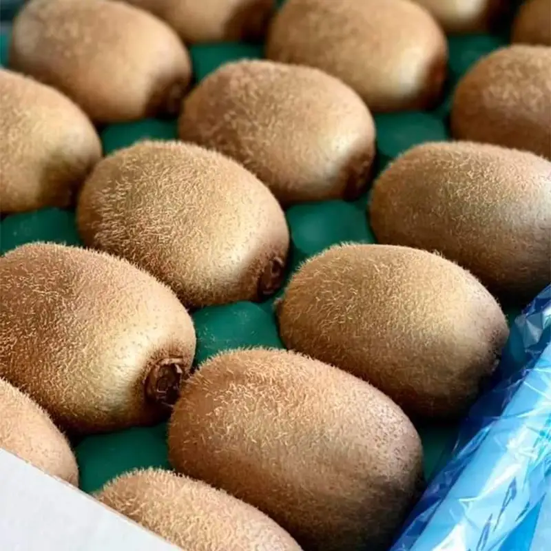 ＜先行予約＞【3年連続受賞】「A品数量限定」下仁田町産キウイフルーツ約2.0kg（1玉Lサイズ115g以上） キウイ フルーツ キウイ デザート 果物 贈答品としても人気！ F21K-729