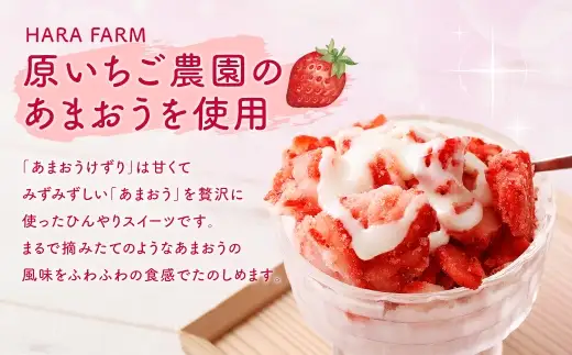 あまおうけずり 1kg （ 500g × 2パック ） あまおう いちご 苺 イチゴ スイーツ 果物 くだもの フルーツ 果実 お菓子 菓子 おかし 冷凍