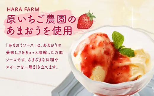 あまおうソース 1kg （ 500g × 2パック ） あまおう ソース 万能ソース 調味料 いちご 苺 イチゴ スイーツ 果物 くだもの フルーツ 果実 冷凍