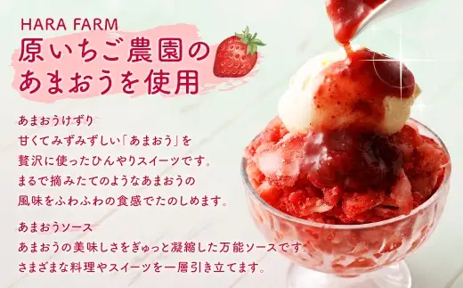 あまおうけずり ＆ あまおうソースセット 2kg （ 各500g × 2パック ） あまおう いちご 苺 イチゴ スイーツ 果物 くだもの フルーツ 果実 お菓子 菓子 おかし 冷凍 ソース 万能ソース 調味料 セット 詰め合わせ