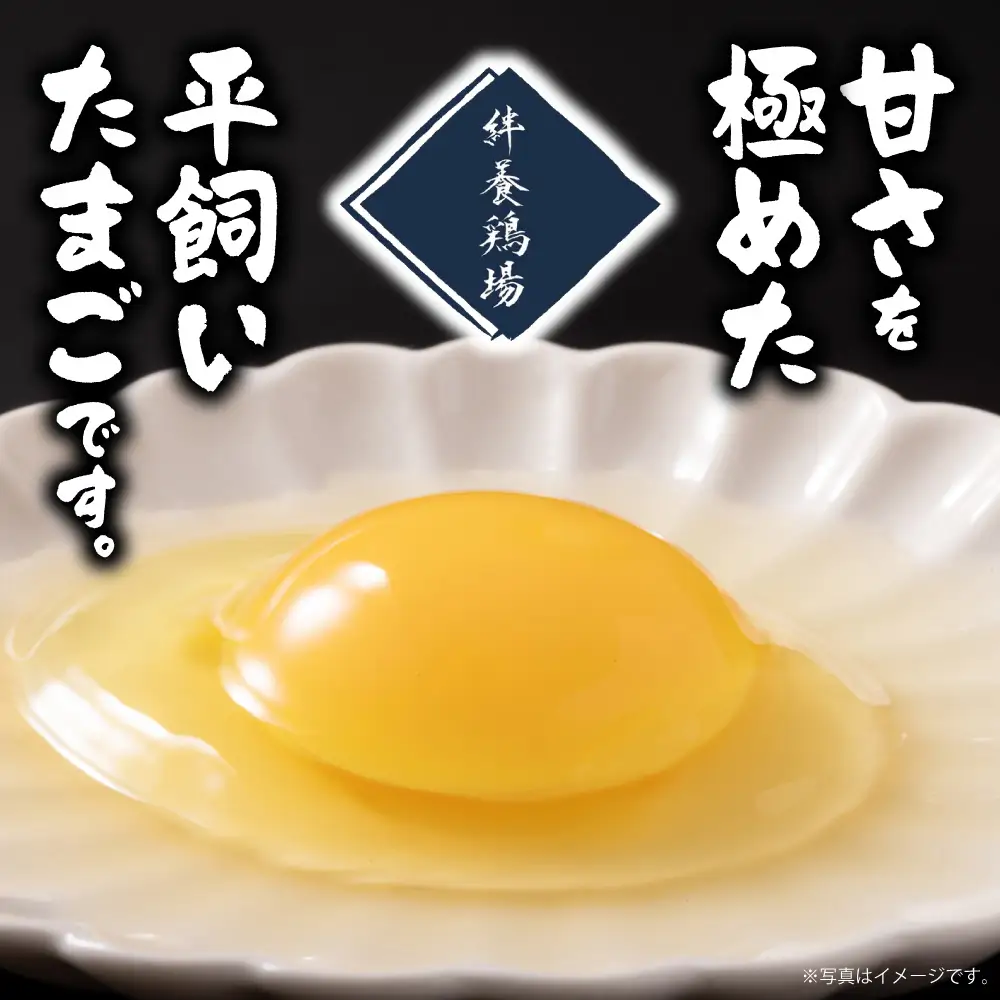 黄金卵 30個入 | たまご タマゴ 平飼いたまご たまごかけご飯 玉子 生卵 卵焼 北海道 当別町