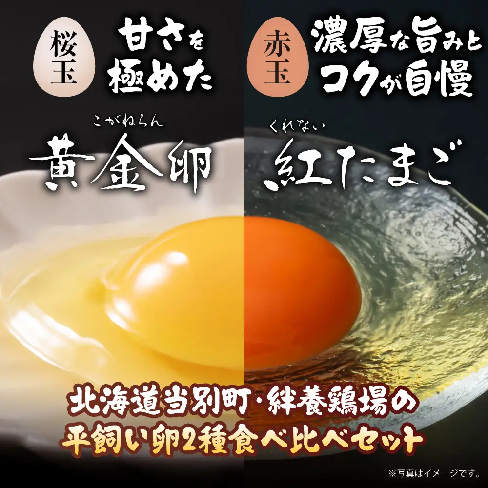 紅たまごと黄金卵 各30個セット | たまご タマゴ 平飼いたまご たまごかけご飯 玉子 生卵 卵焼 北海道 当別町