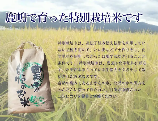 新米 こしひかり 玄米 30kg 令和8年度産 米