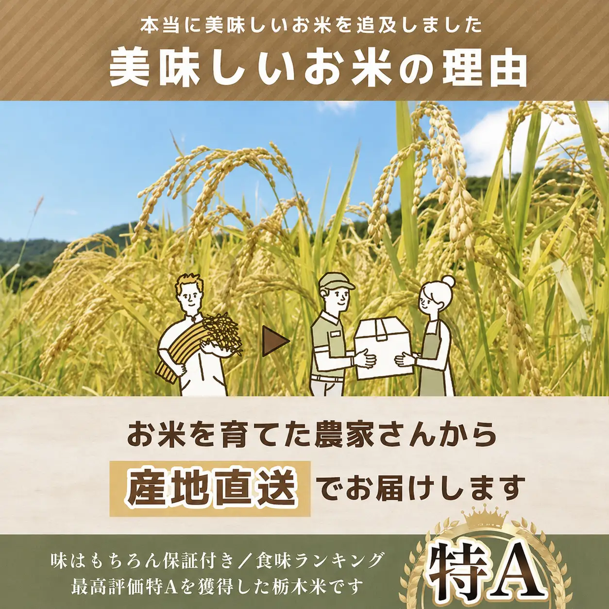 【先行予約】 訳あり 令和8年度 新米 真岡市産とちぎの星（玄米真空パック) 約2kg