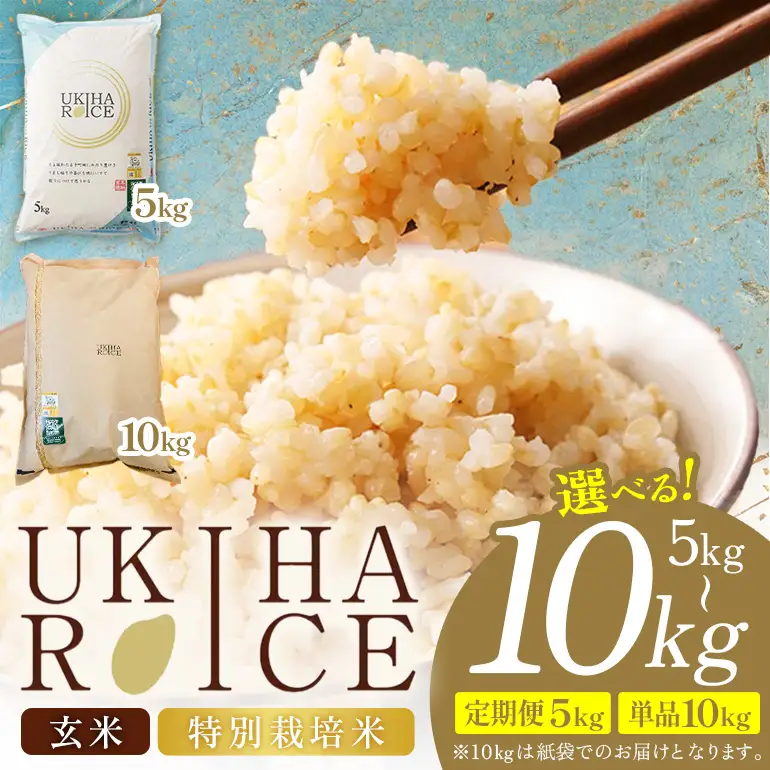 【3ヶ月定期便】 米 玄米 UKIHA RICE 5kg×3回 特別栽培米 計15kg ヒノヒカリ 令和8年産 新米 みずほファーム A06-012