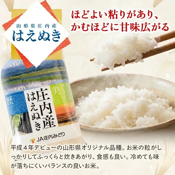 (1月～3月) ≪3ヶ月定期便≫ はえぬき 5kg×3ヶ月連続 計15kg 山形県庄内産 ご希望期間の毎月中旬頃お届け JA 農協 白米 ブランド米 お米 庄内米 東北 遊佐町 [1706T01]