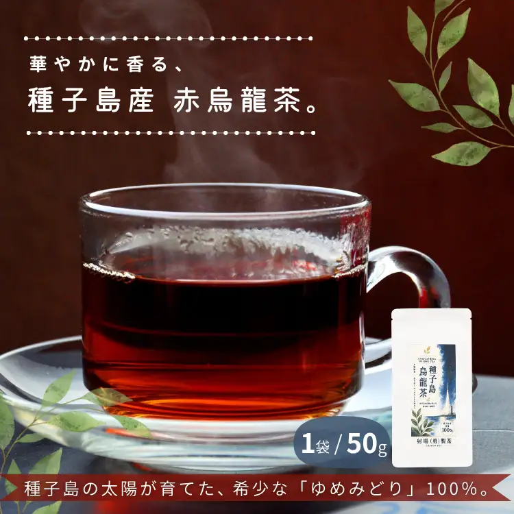 【たねがしまる4000】 種子島 赤烏龍茶 ゆめみどり1袋　NFN956【100pt】// 国産 ウーロン茶 希少品種 烏龍茶 
