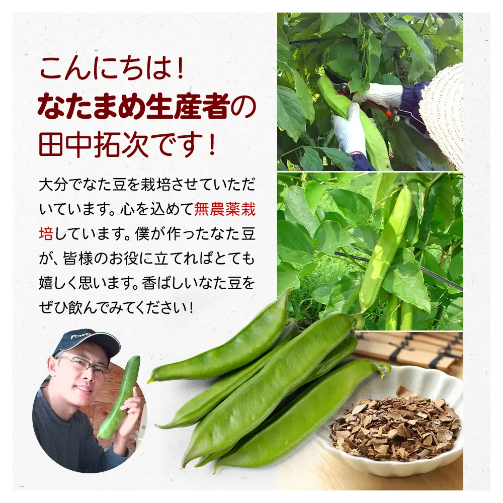 令和8年熊本地震復興支援 国産なた豆茶 30包3袋セット