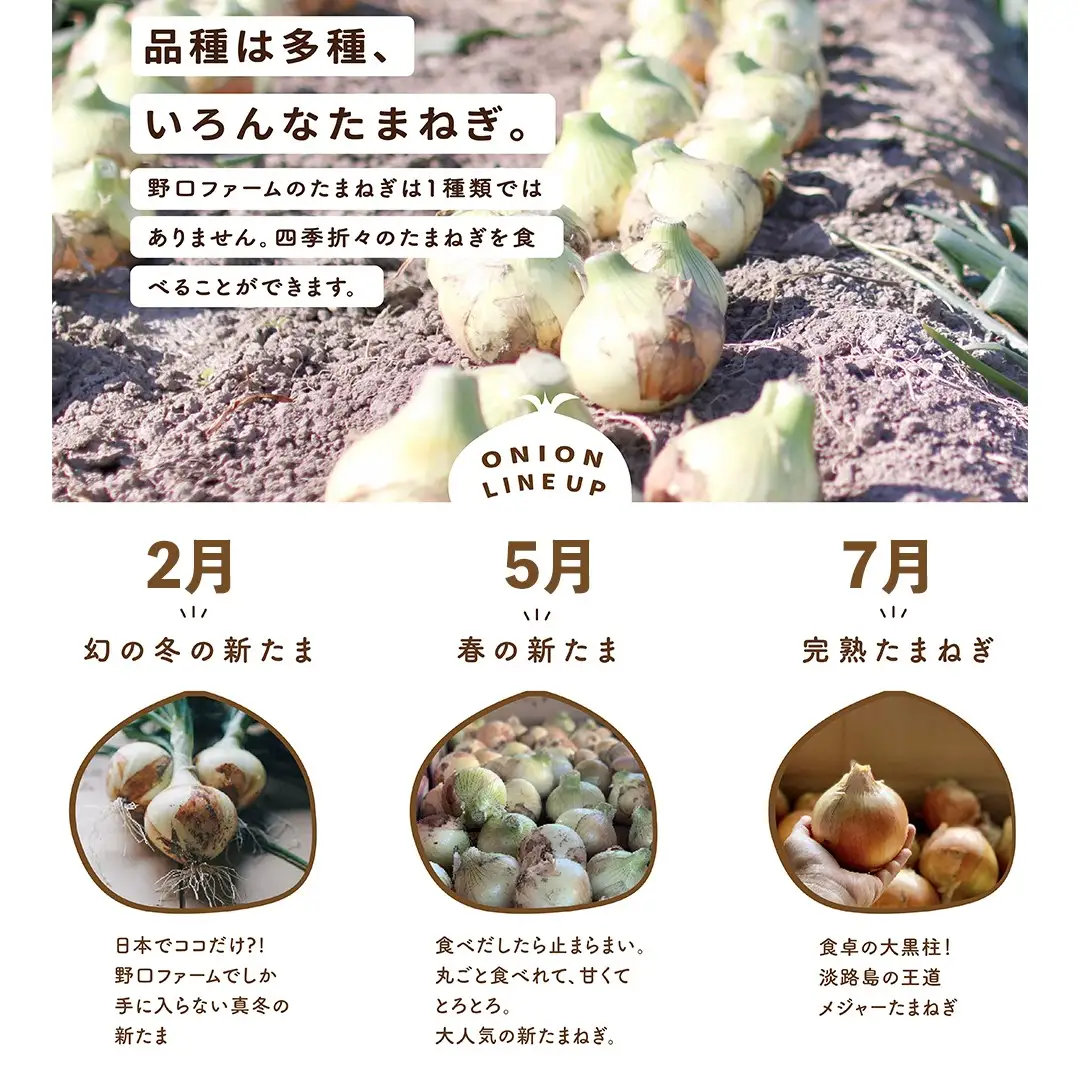 【全３回定期便】淡路島たまねぎ５kg 旬の贅沢セット！【2・5・7月発送】