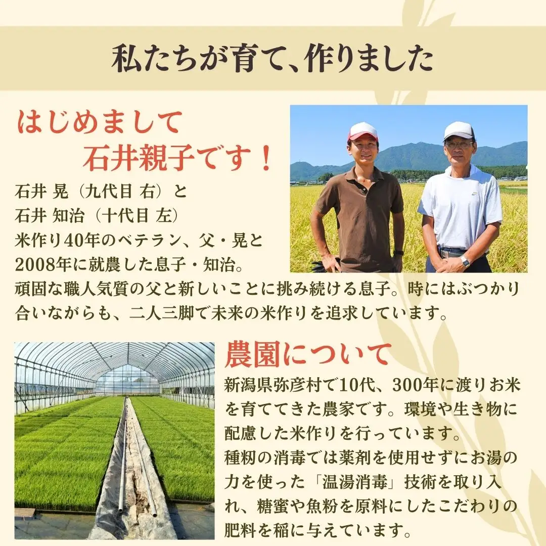 パックご飯 熟成3日 発芽玄米 簡易包装 125g × 25個 コシヒカリ 酵素玄米 | 寝かせ玄米 特別栽培米 パックご飯 新潟県