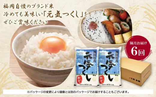 Z17-81 無洗米 元気つくし10kg定期便(隔月・年6回)