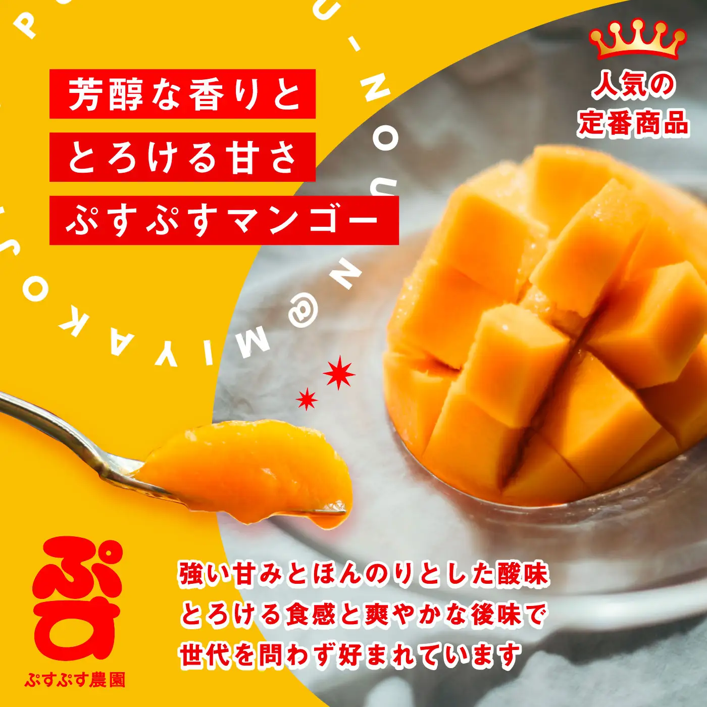 【先行予約】【ぷすぷす農園】＜2027年発送＞宮古島産完熟マンゴー(家庭用／2キロ／農園直送)（KY013）