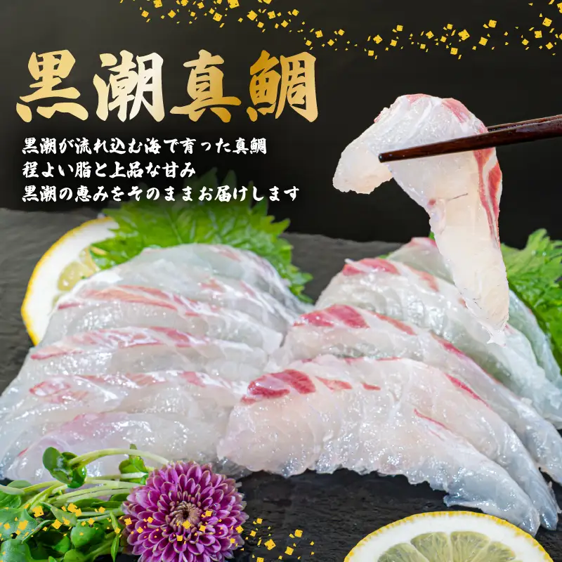 高知県 須崎市産 養殖真鯛  まるごと 1尾 セミドレス