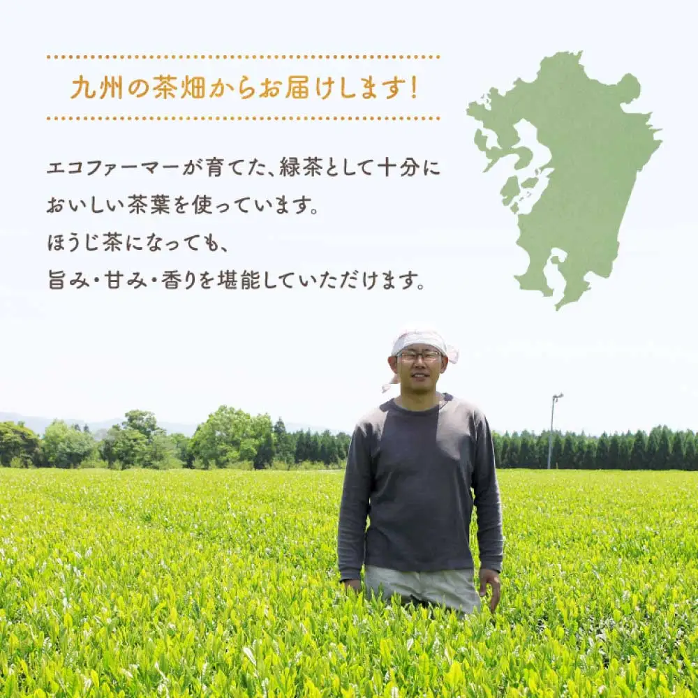 令和8年熊本地震復興支援 初摘み茶 100包