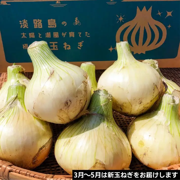 【定期便】淡路島産玉ねぎ　3㎏×10回（発送3月～12月）