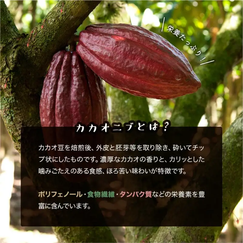 カカオニブ500g×2袋セット 【kw0090-0017】