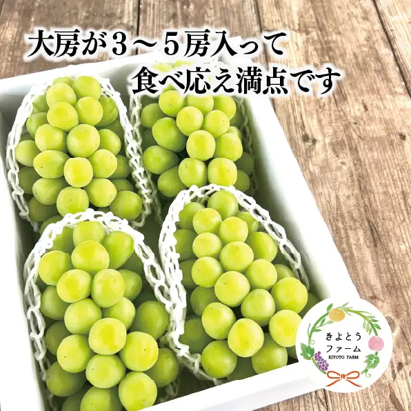 シャインマスカット 上級品 大3-5房/計2.4kg～(岡山県産) 食べ応え満点のシャインをお届け! FN-B005
