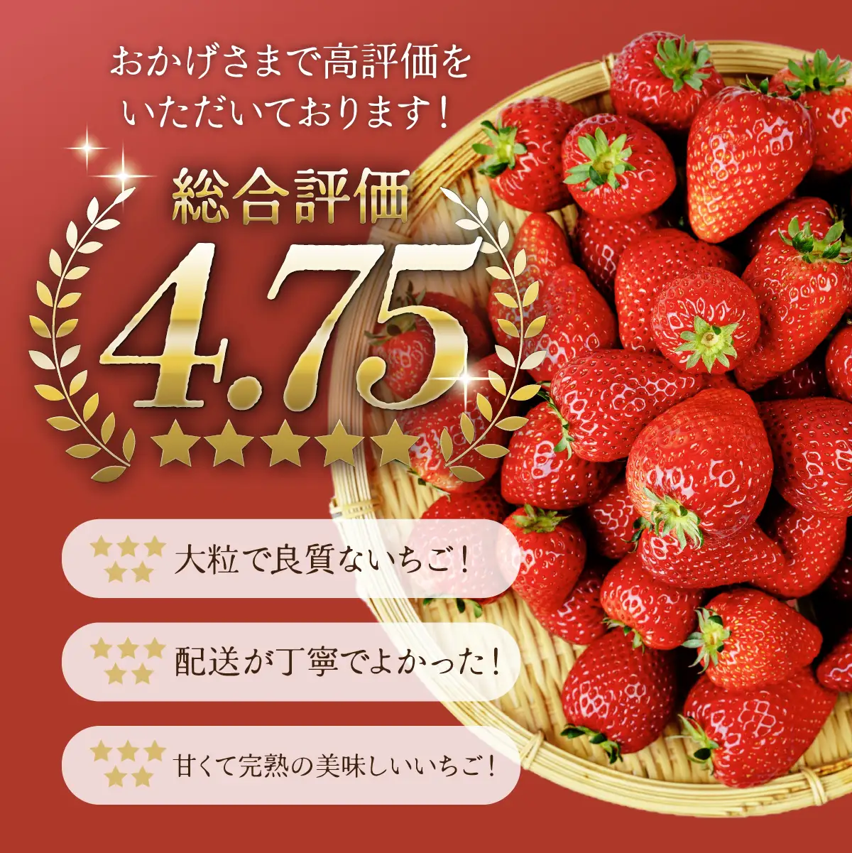 いちご【1月以降発送】朝採れとちあいか レギュラー 約270g×2パック 合計 約540g | いちご 栃木県 茂木町