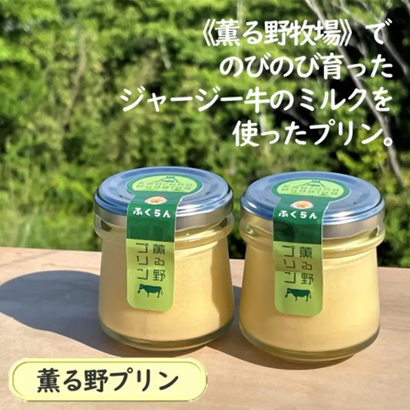 薫る野プリン3種セット6個入〔2個×3種〕（プレーン／プレミアムチョコ／足柄茶プリン）牧場直送のジャージー牛乳とこだわりたまごを使った手作りプリンの3種セット 【 プリン スイーツ お菓子 神奈川県 南足柄市 】