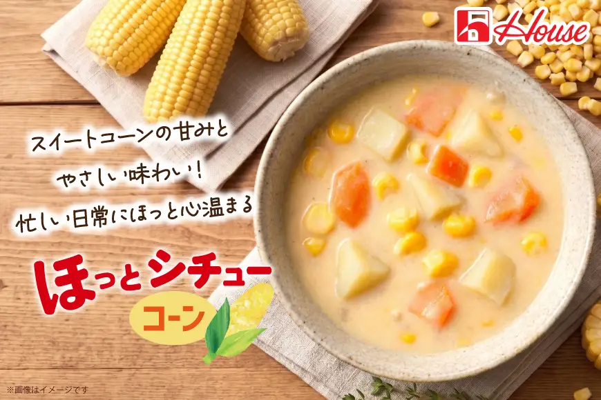 ハウス ほっとシチュー コーン 10食セット