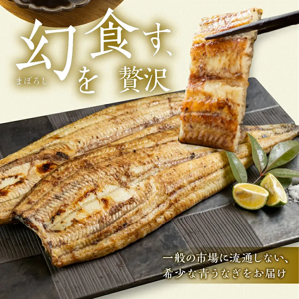 最高級 特上 幻の青うなぎ 6尾 うなぎ 白焼 