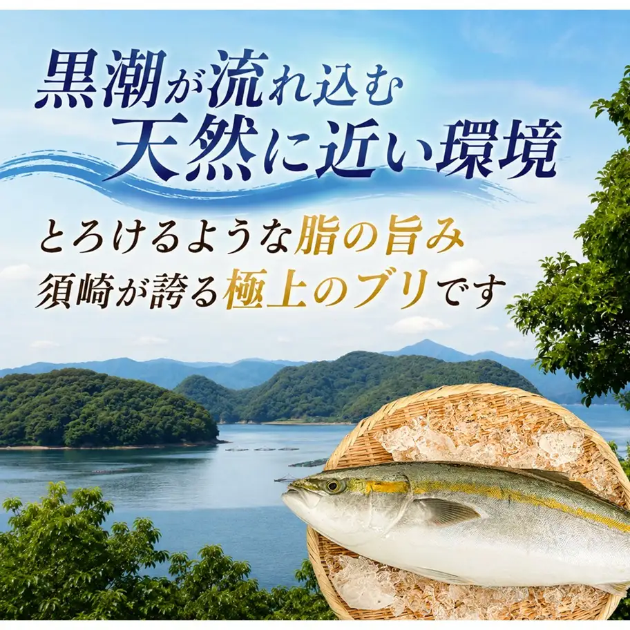 ブリ  丸ごと1尾  セミドレス 
