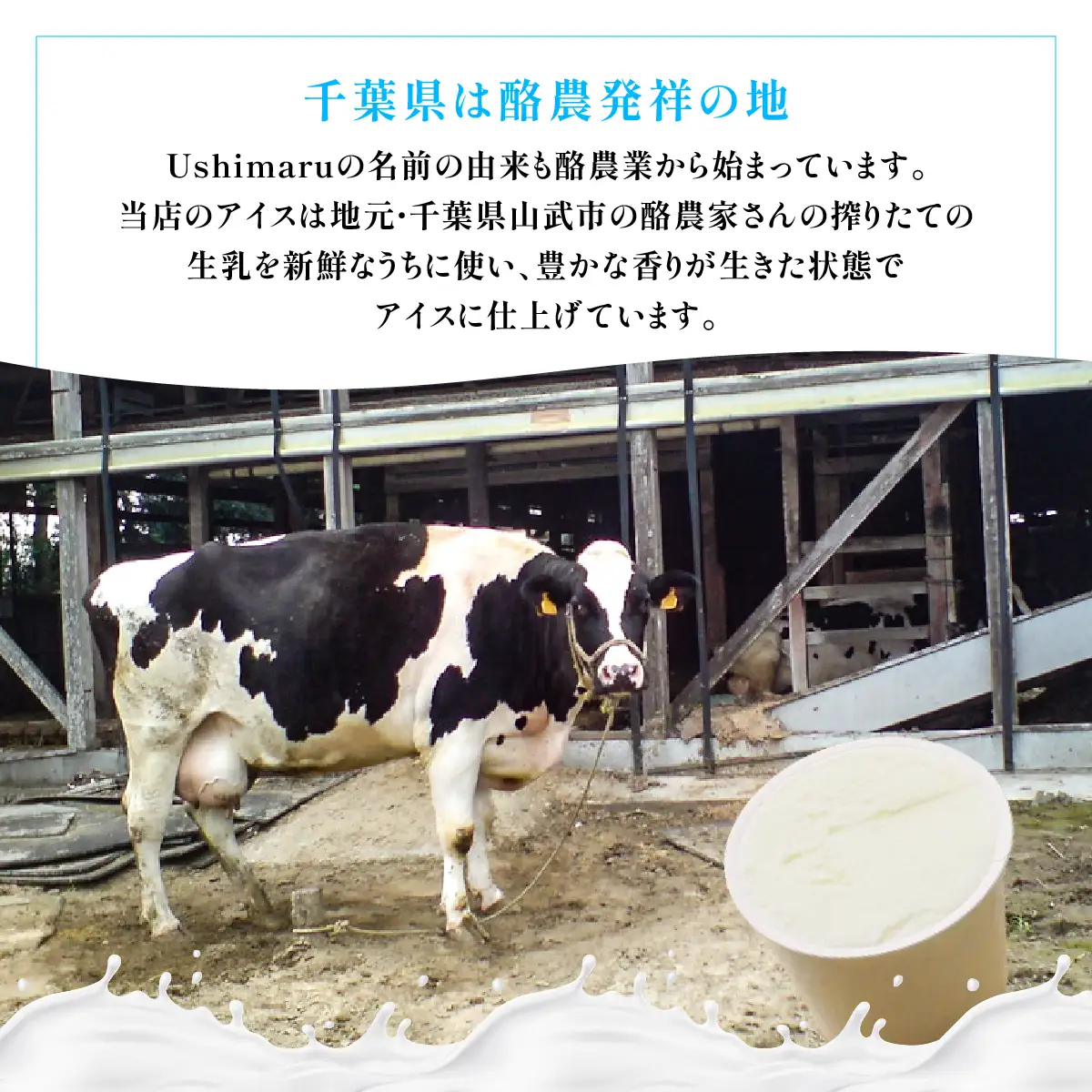 Ushimaru自家製アイス5個入（ミルク） SMBM014