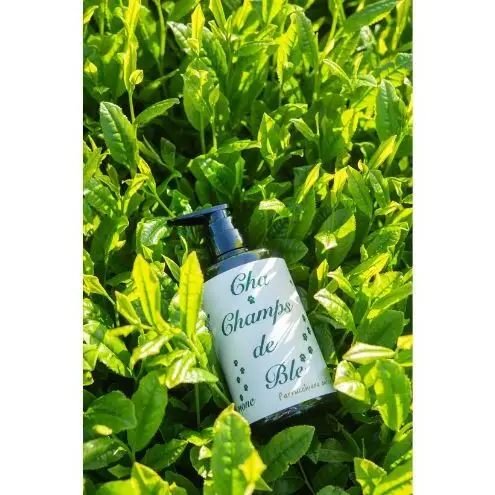 チャ・シャンドブレ　シャンプー 500ml アミノ酸系 緑茶由来成分 コンディショニング成分 すっきり ふんわり 軽やか ツヤ なめらか まとまり 岐阜県 海津市
