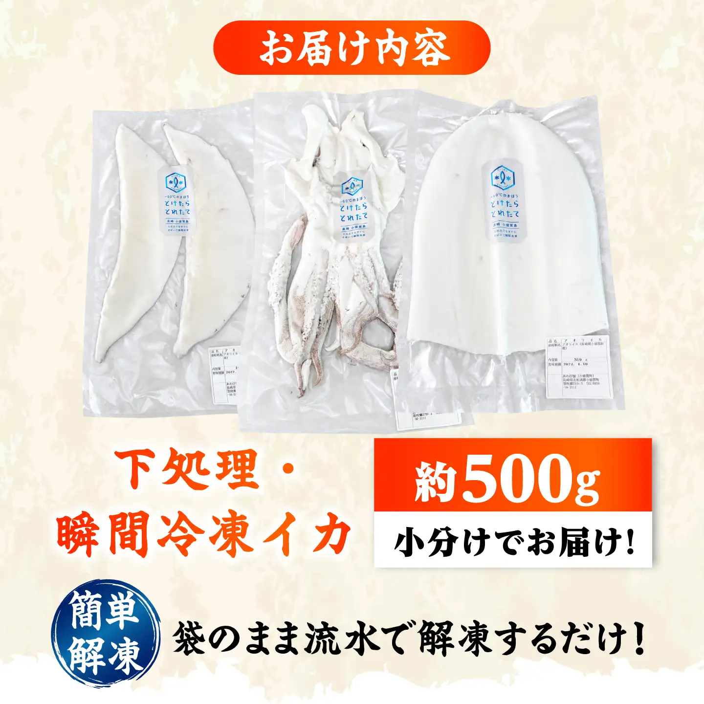 【とけたらとれたて】 アオリイカ （下処理・瞬間冷凍済み）1杯（500g以上）小分け 長崎県 小値賀町[DBY012]