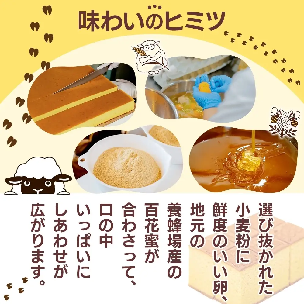 紙袋付き 個包装 12個入り ギフトBOX プレーンカステラ 焼き菓子 スイーツ おやつ デザート 三重県産 小麦粉 あやひかり はちみつ 百花蜜 粗糖 お茶請け ギフト 贈り物 手土産 ご褒美 CARNERO FARM 送料無料 三重県 津市