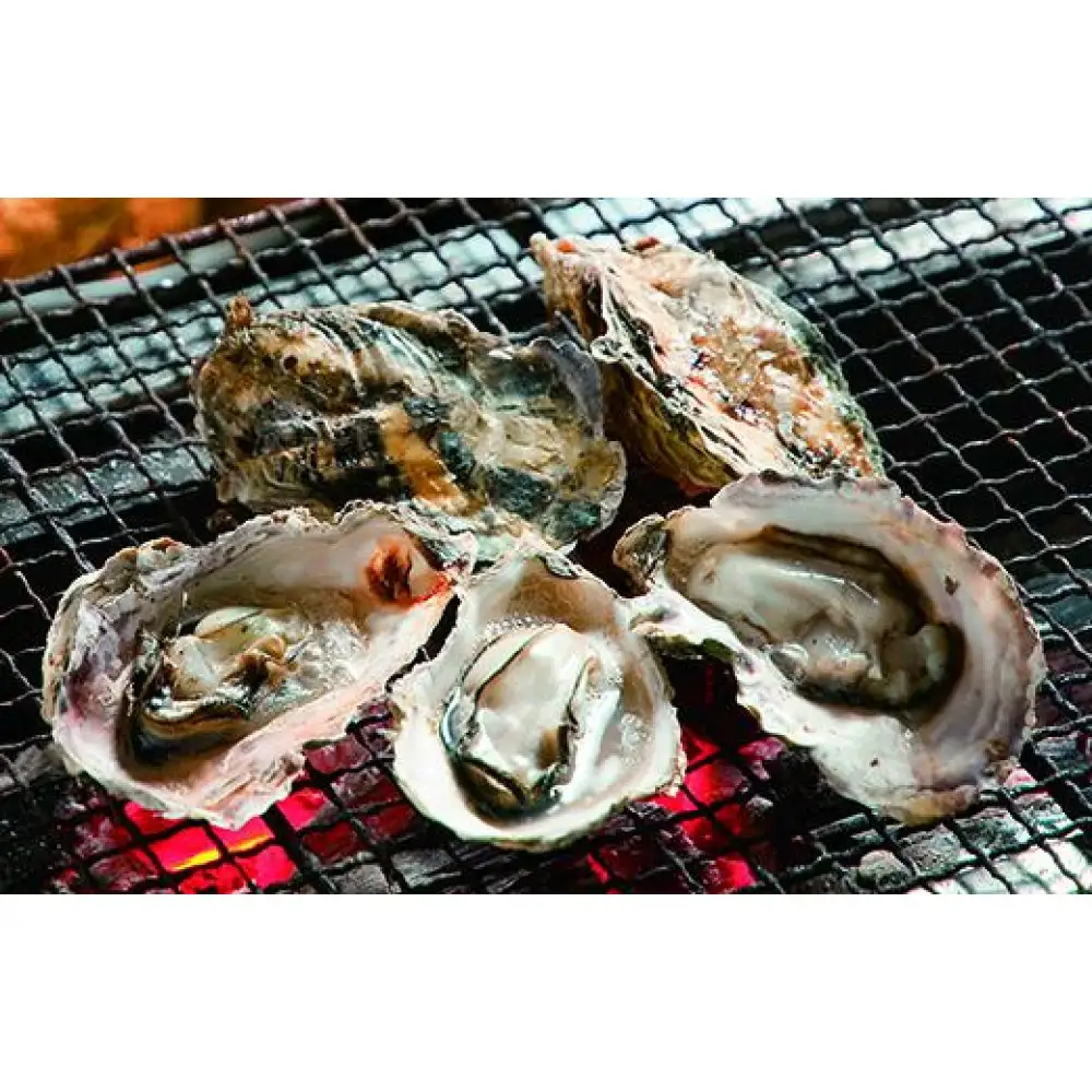能登穴水の牡蠣（殻付き）　加熱用　5kg