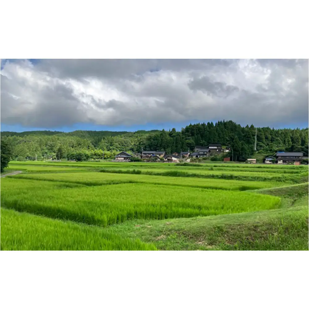能登町産　特別栽培米　能登コシヒカリ（無洗米）　5kg