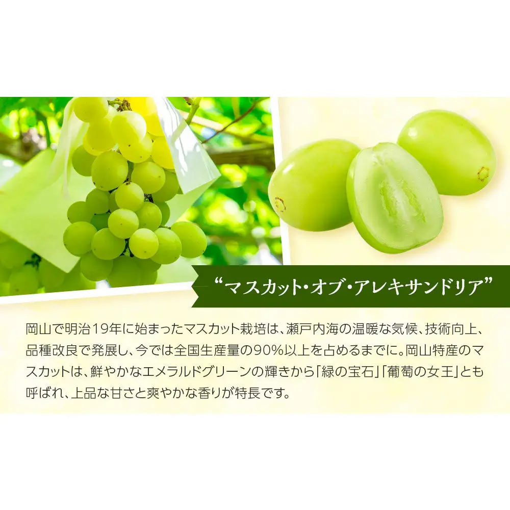 マスカットジュース2本セット【岡山県産マスカット・オブ・アレキサンドリア果汁１００％】