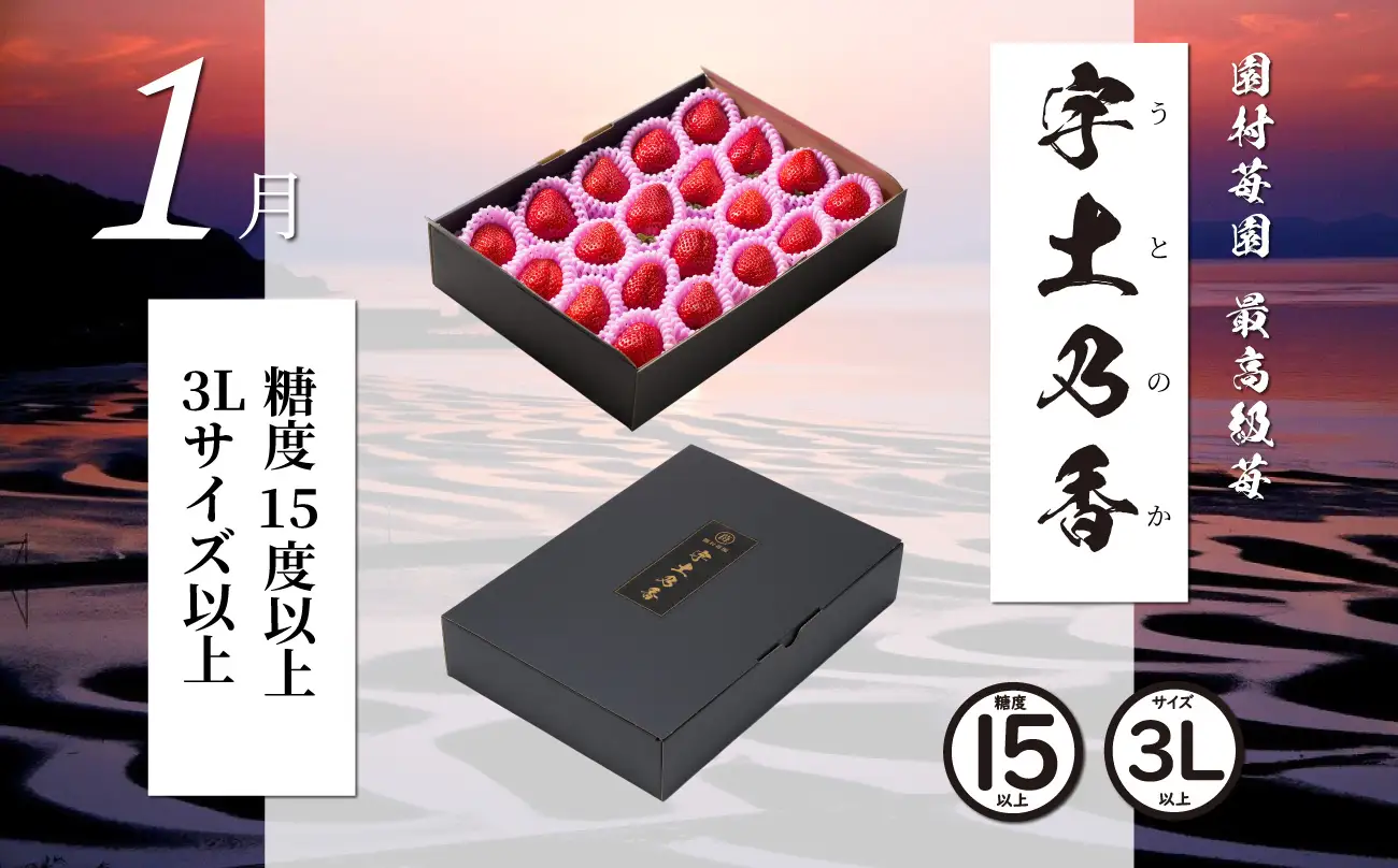 【先行受付】園村苺園　高級いちご「さちのか苺」約500ｇ_4回発送(1月～4月)_U74-T048_4
