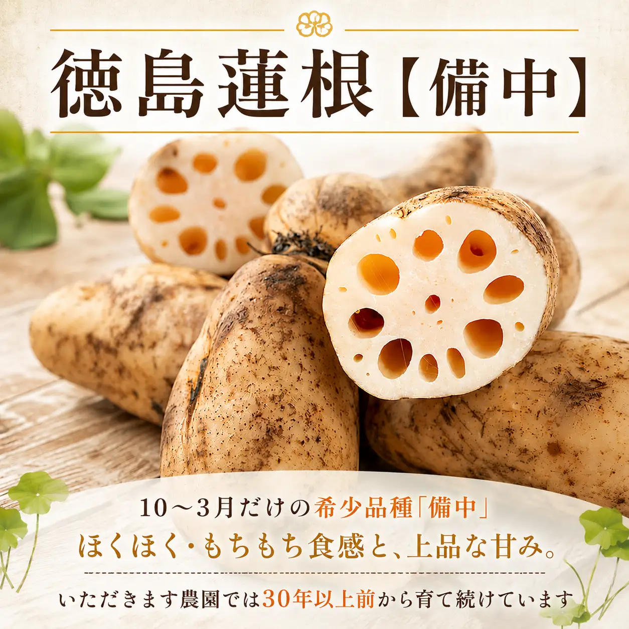 蓮根 厳選 こだわり部位セット 4.2kg