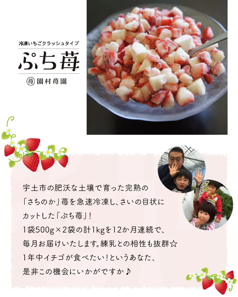 【先行受付】園村苺園　完熟冷凍いちご「ぷち苺」1kg（500g×2パック）【定期便 12回】_U74-T019_12