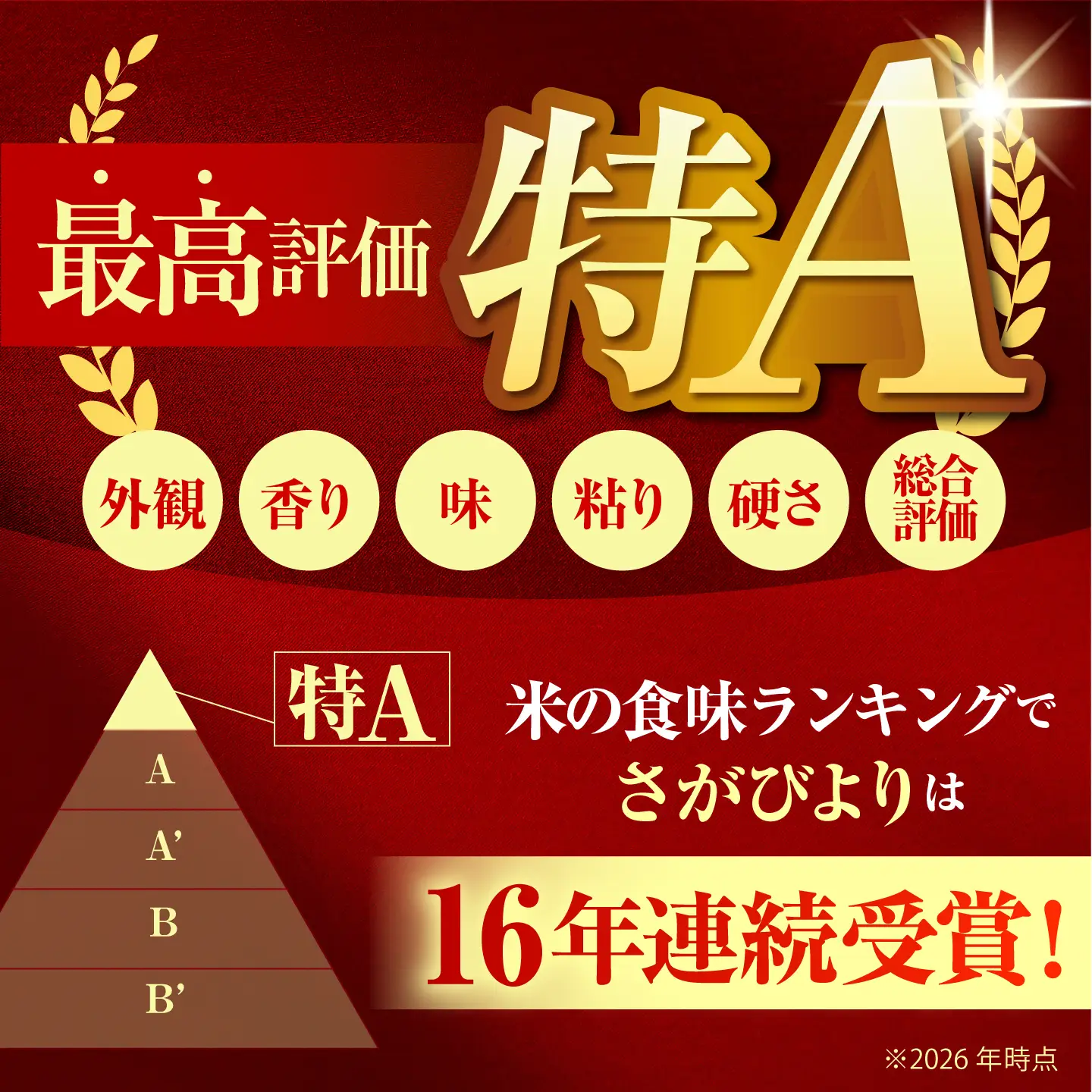 【全12回定期便】白米・もち麦セット（ さがびより3kg ・ キラリモチ 300g×2袋 ）【大塚米穀店】 麦 もち麦 米 精米[HBL172]