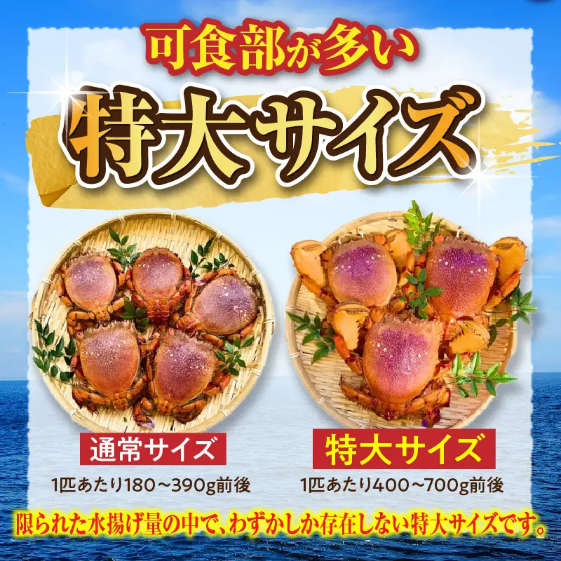 【先行予約】＜2026年11月より順次発送予定＞宮崎県串間市産 特大アサヒガニ1kg 国産 海鮮 カニ_K027-015-01