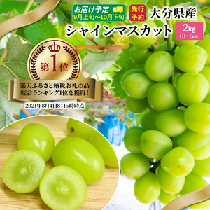 【先行予約】 おおいたの豊潤シャインマスカット約2㎏ 令和8年出荷分_1615R