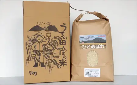 有馬富博【令和8年度産】5kg「ひとめぼれ」つきたて米