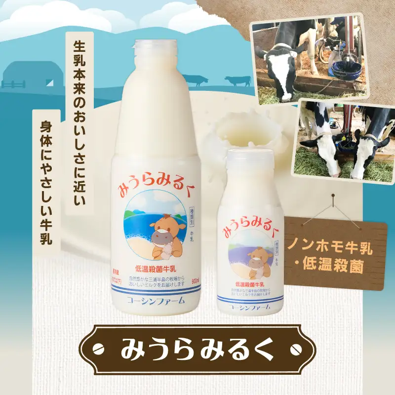 みうらみるく 900ml×2本・みうらみるくコーヒー 900ml×2本 計4本 M091-003-02 牛乳 ノンホモ牛乳