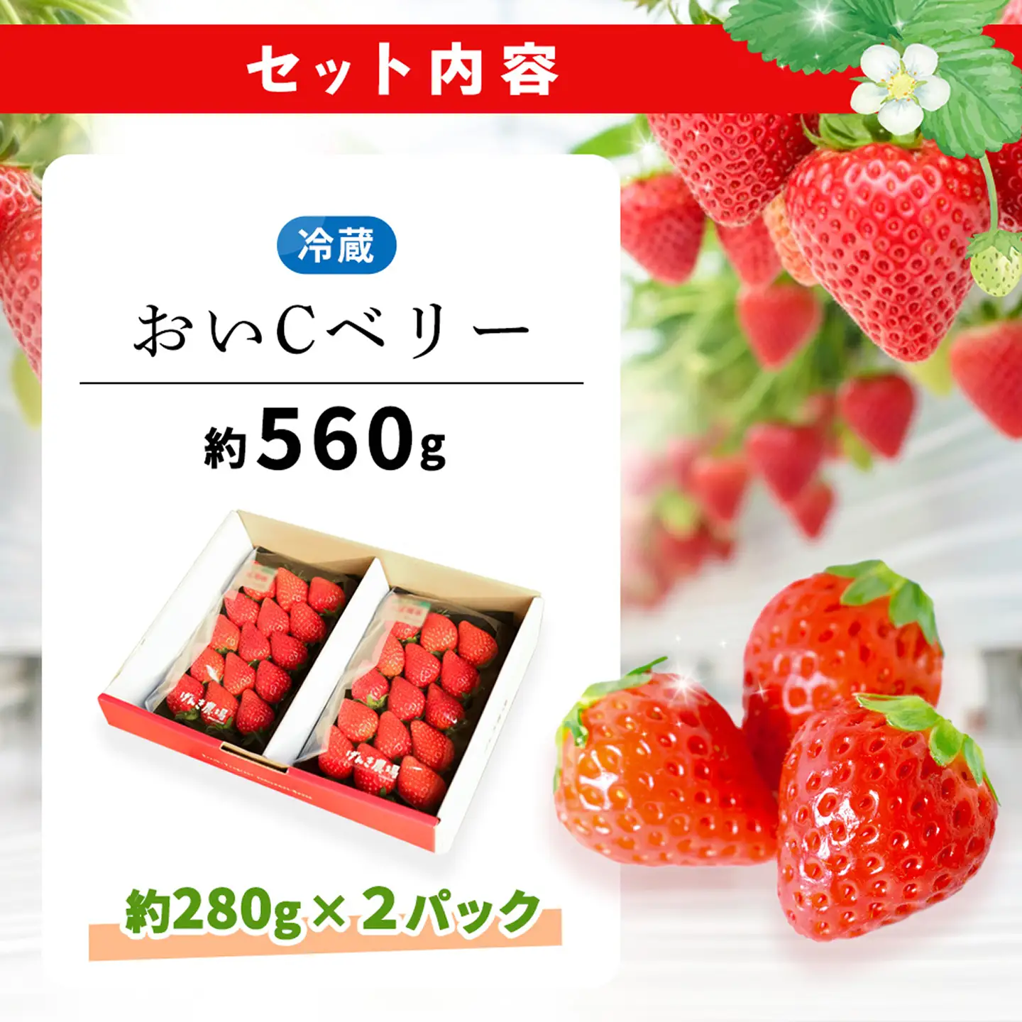 【2027年2月発送】【先行予約】【農場直送！】おいCベリー(約280g×2P) K100089