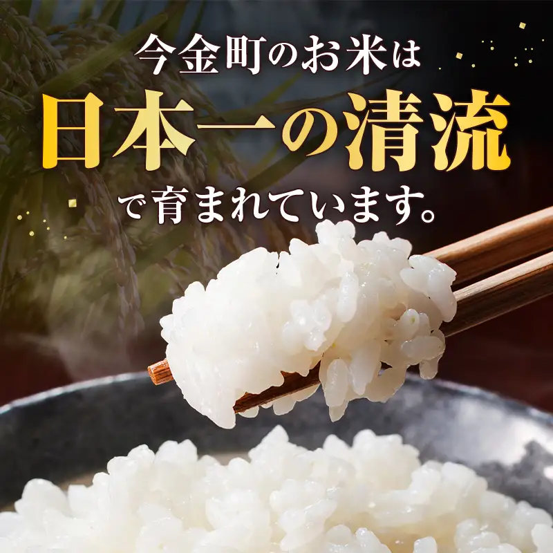 【順次発送】令和7年産 ゆめぴりか 5kg 北海道今金町産 米 白米 米俵 F21X-755