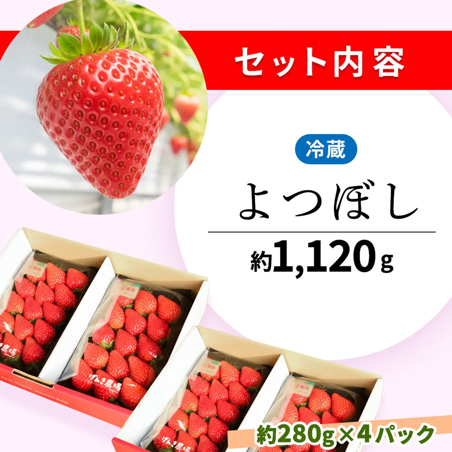 【2027年3月発送】【先行予約】【農場直送！】よつぼし(約280g×4P) K100092